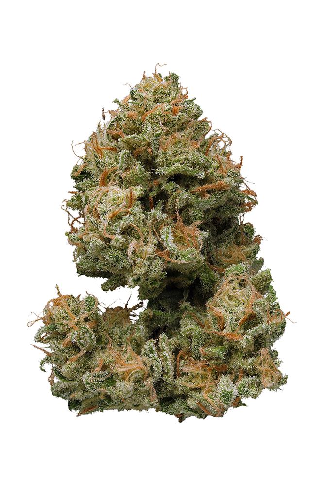 Bubbleberry - ASG Weed Dilivery & Dispensary Santa Monica Bubble Berry is a flavorful and potent cannabis strain known for its high THC levels and unique blend of sweet, fruity flavors. A hybrid, typically leaning slightly toward indica, it combines the best of both worlds: relaxation with an uplifting, euphoric high. The strain is a cross between Bubblegum and Blueberry, two iconic strains in the cannabis world.