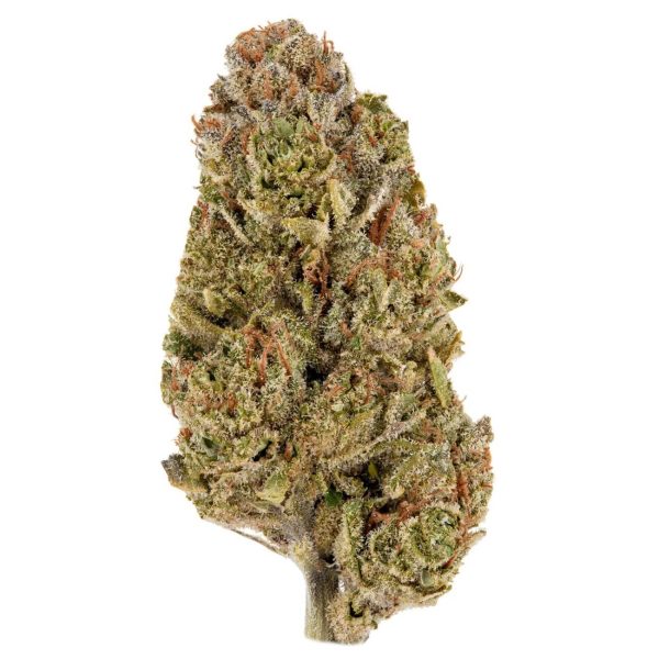 Funky Kush is a powerful, high-THC indica-dominant strain known for its pungent aroma, heavy-hitting effects, and deeply relaxing high. This strain is perfect for experienced users seeking a potent and flavorful smoke that delivers long-lasting body relaxation and a euphoric cerebral buzz.