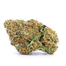 Jungle Boys Mitten Cake Batter is a potent and flavorful hybrid strain that offers a unique blend of effects and a rich flavor profile. This strain is a cross between Mitten Cake and other Jungle Boys genetics, resulting in a deliciously smooth, creamy, and potent experience. It’s perfect for users looking for a balance of relaxation and euphoria.