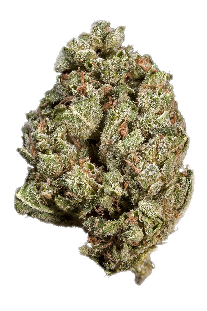 Sour-OG - ASG Weed Dilivery & Dispensary Santa Monica Sour OG is a potent, well-balanced hybrid strain known for its high THC levels, typically ranging from 25% to 30%, making it a top choice for experienced users seeking a strong and long-lasting high. This powerhouse strain is a cross between two legendary cultivars, Sour Diesel and OG Kush, resulting in a unique combination of euphoric cerebral effects and deep body relaxation.