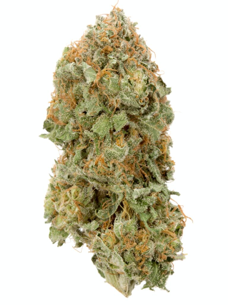 Strawberry-Kush - ASG Weed Dilivery & Dispensary Santa Monica Strawberry Kush is a popular hybrid strain known for its sweet, fruity aroma with a hint of earthy undertones. It offers a balanced effect, often providing relaxation without heavy sedation, making it great for daytime use. This strain typically combines the relaxing effects of Kush with the uplifting, creative buzz from its strawberry genetics. It's well-loved by both recreational and medicinal users for its ability to relieve stress and enhance mood. Its dense, resin-covered buds are often a beautiful mix of green and purple hues.