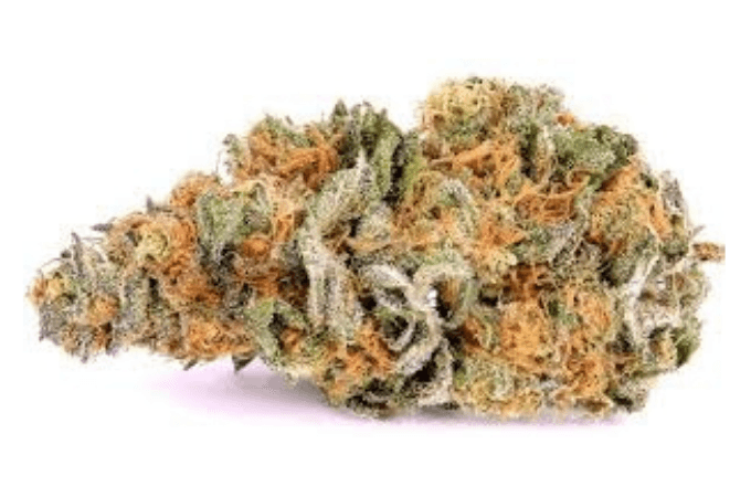 Thunder-Fuck - ASG Weed Dilivery & Dispensary Santa Monica Thunder Fuck Haze is a legendary cannabis strain known for its potent effects and high THC content. Often referred to as "Thunderfuck" or "Alaskan Thunderfuck," this strain is a hybrid with origins tracing back to the Alaskan region, known for its resilience and power. It’s a cross between the Alaskan and Haze strains, bringing together the best of both worlds for a unique and powerful experience.