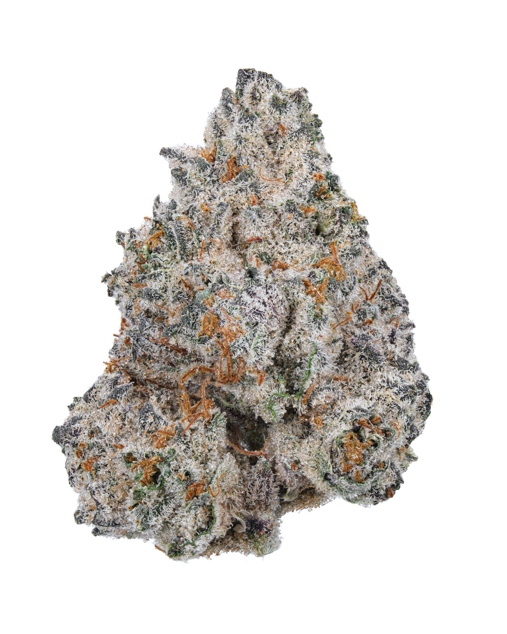 White_Truffle - ASG Weed Dilivery & Dispensary Santa Monica White Truffle (WT) is a premium hybrid cannabis strain known for its potent effects and exceptional flavor profile. With a balanced mix of relaxing body effects and uplifting cerebral euphoria, it’s perfect for both recreational and medicinal use. The buds are dense, with a frosty coating of trichomes, emitting earthy, piney aromas complemented by a subtle sweet, citrusy scent. This strain is favored for its smooth smoke and ability to help with stress, pain relief, and mood enhancement. Ideal for evening use, White Truffle provides a well-rounded, calming experience.