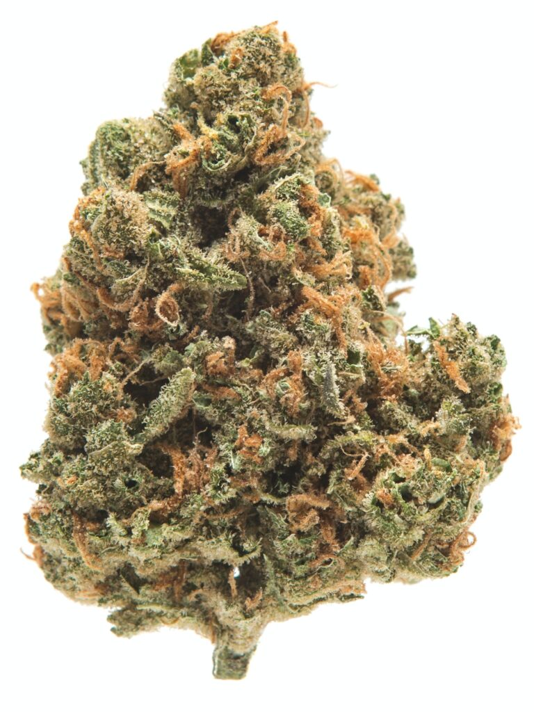 brain-freeze (2) - ASG Weed Dilivery & Dispensary Santa Monica Brace yourself for the cool rush of Brainfreeze (BR), an exhilarating Sativa dominant hybrid strain that combines the best of both worlds. Known for its balanced effects, this strain delivers an instant cerebral uplift, followed by a soothing body relaxation that’s perfect for unwinding after a long day or enhancing creative moments. With a high THC content and a refreshing, frosty vibe, Brainfreeze is your go-to for a highly enjoyable and potent experience.