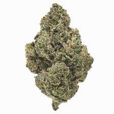C-4 is a potent cannabis strain known for its high THC levels, making it a favorite among experienced cannabis users with a high tolerance. This hybrid strain is a cross between Colombian Gold and Northern Lights #5, combining the best of both indica and sativa genetics. With THC levels often reaching up to 25-30%, C-4 delivers a powerful and long-lasting effect that can take you through both cerebral and physical highs.