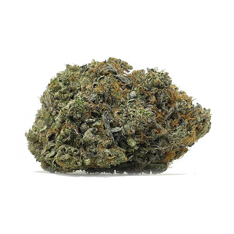 God’s Gift is a sativa-dominant hybrid that combines the uplifting and energizing effects of sativa with the calming, relaxing qualities of its indica lineage. Known for its high THC levels, this strain delivers a powerful, cerebral high that stimulates creativity, boosts mood, and offers an energetic mental buzz. While its effects are energizing, God's Gift is also known for providing a balanced, relaxing body high that can melt away tension and stress.