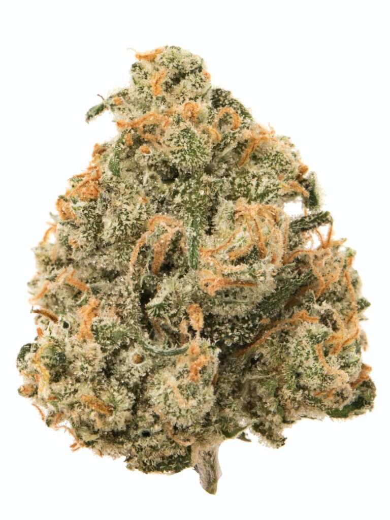 jack-herrer - ASG Weed Dilivery & Dispensary Santa Monica Jack Herer (JK) is a legendary and highly popular sativa-dominant hybrid known for its balanced and uplifting effects. Named after the famed cannabis activist and author, this strain combines the best of both worlds: a cerebral, euphoric high from its sativa genetics and a calming body relaxation from its indica lineage.