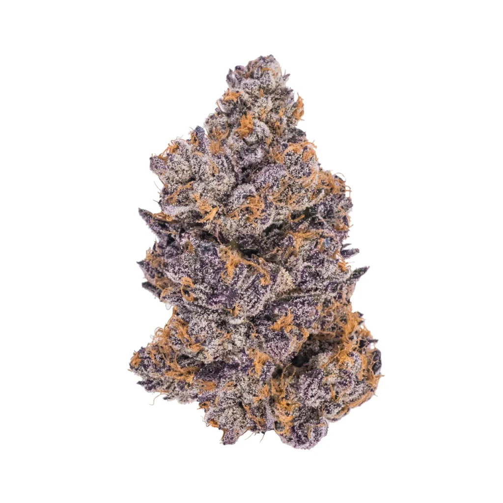Jealousy by Seed Junky Genetics is a highly sought-after hybrid strain that has gained significant popularity for its potent effects and exceptional flavor profile. This strain is a cross between the well-known Gelato 41 and Sherbert, resulting in a smooth blend of sweet, creamy, and citrusy flavors with a touch of earthiness.