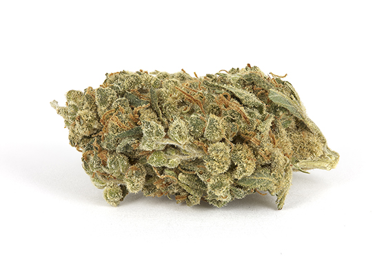 Super Skunk (SS) is a potent sativa-dominant hybrid known for its strong skunky aroma, uplifting cerebral effects, and powerful potency. This classic strain is a cross between Skunk #1 and an Afghan landrace, delivering a balanced high that energizes the mind while relaxing the body.