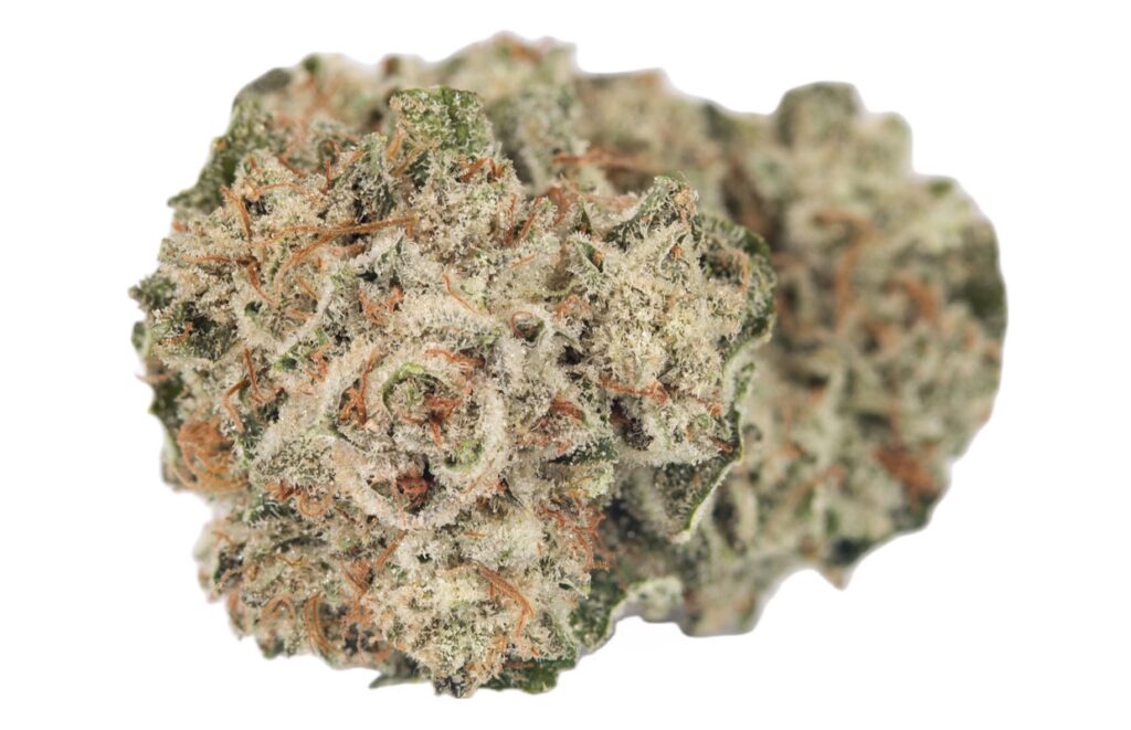 ufc-og-new - ASG Weed Dilivery & Dispensary Santa Monica UFC OG is a potent and highly revered cannabis strain, known for its strong effects and high THC content. A hybrid strain, UFC OG combines the best traits of both indica and sativa, delivering a well-rounded experience that packs a punch. It’s especially favored by experienced users seeking powerful effects.