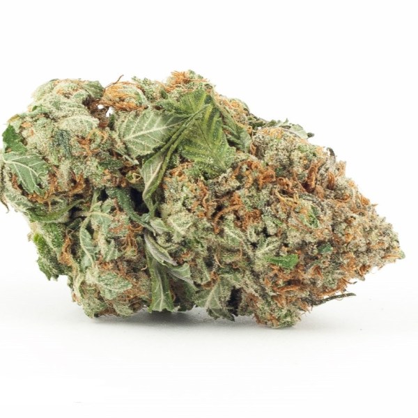 Afghan OG Kush - ASG Weed Dilivery & Dispensary Santa Monica Venom OG is a potent and highly regarded cannabis strain known for its high THC content and powerful effects. This indica-dominant hybrid delivers a heavy, relaxing body high that makes it ideal for evening use or winding down after a long day.