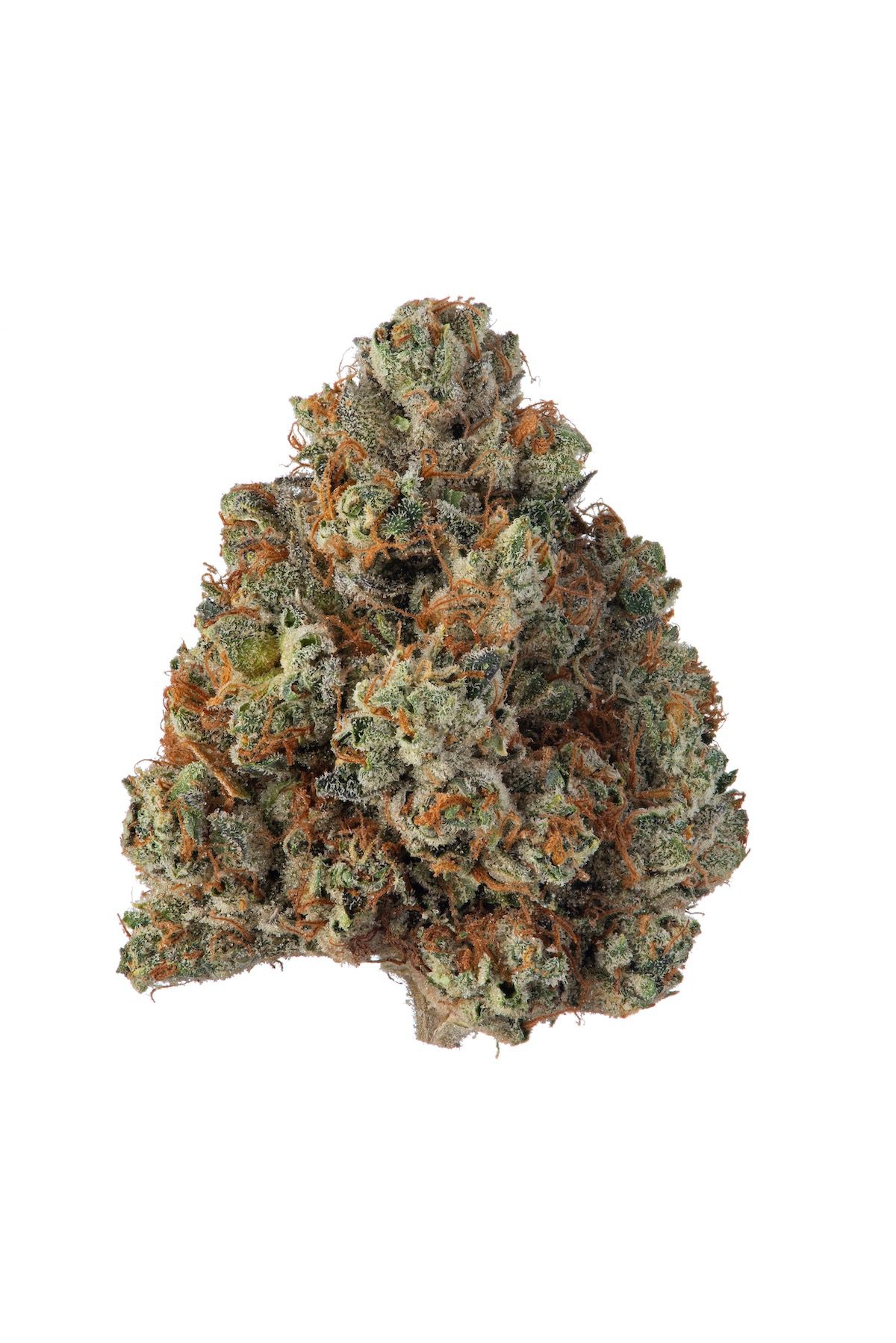 sfv-sherbetjpeg - ASG Weed Delivery Santa Monica Dispensary